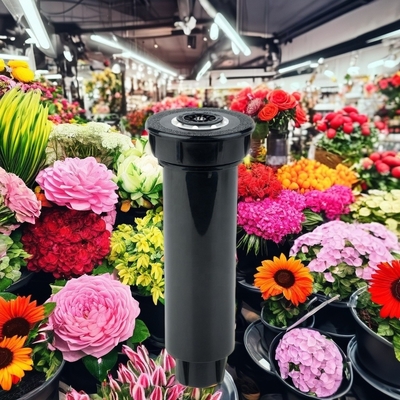 Revolutionieren Sie die Gartenpflege mit der Technik der Streuung und Bildervorführungen