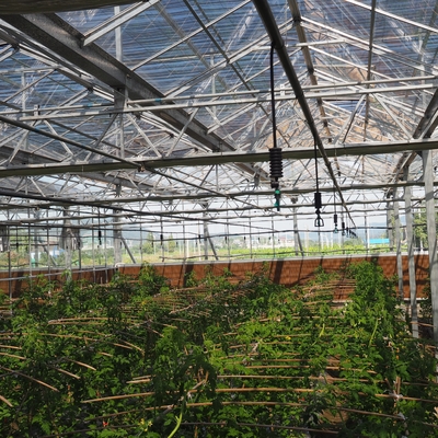 6 mm langlebiger 360-Grad-Rotationssprinkler für die Bewässerung von Gartenrasenflächen