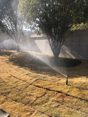 Bewässern Sie Ihren Garten mit unserem Kunststoffsprinkler