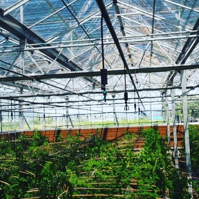 Hängendes Sprinklersystem mit rotierender Düse für landwirtschaftliche Bewässerung im Garten