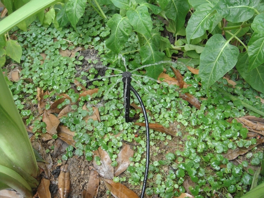 Strahl-/Zentrifugalverbundsprinkler für eine gleichbleibende Bewässerung der Landwirtschaft im Garten