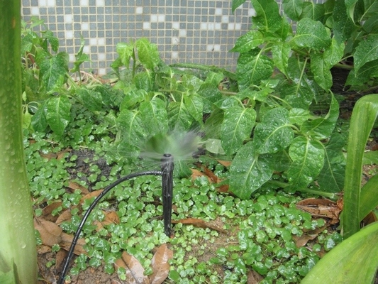Strahl-/Zentrifugalverbundsprinkler für eine gleichbleibende Bewässerung der Landwirtschaft im Garten