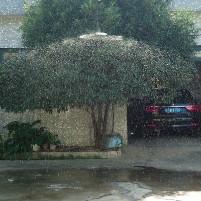 Sprinkler für die Bewässerung der Land- und Forstwirtschaft mit Wasserverteilung