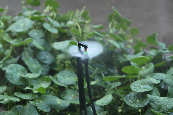 G-Typ Mikrosprinkler Die ultimative Lösung für landwirtschaftliche Bewässerung 150-300KPA