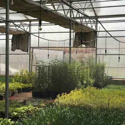 Gewerbliche Käufer erhalten einen Rabatt auf 360-Grad-Gartensprinkler für die Bewässerung von Bauernhöfen