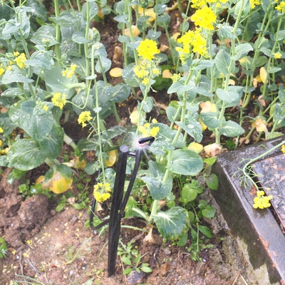 G Typ 360 Grad Landwirtschaftliche Bewässerungssprinkler Leistung 1,8-2,6M Sprühradius
