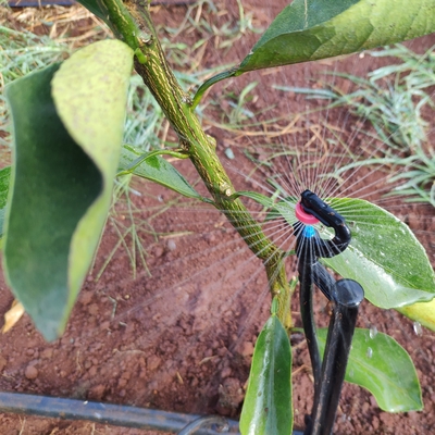 360-Grad-Sprinkler für landwirtschaftliche Wasserversorgung Normaler Stil für Mikrosprinklerbewässerung
